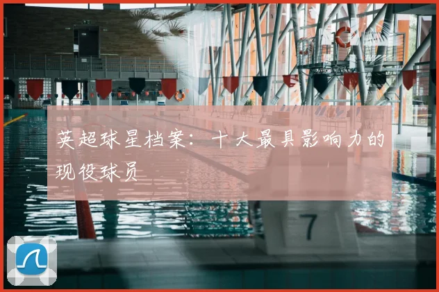 英超球星档案：十大最具影响力的现役球员